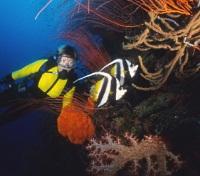 Scuba diving Excursion